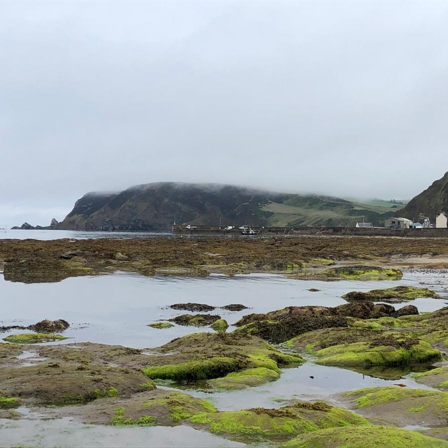Вілла Puffins Nest Gardenstown Екстер'єр фото